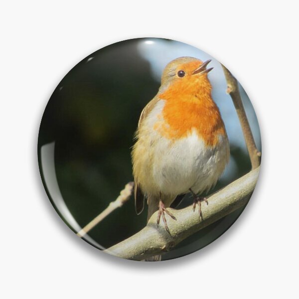 Item preview, Singing Robin designed and sold by WildandDivine.