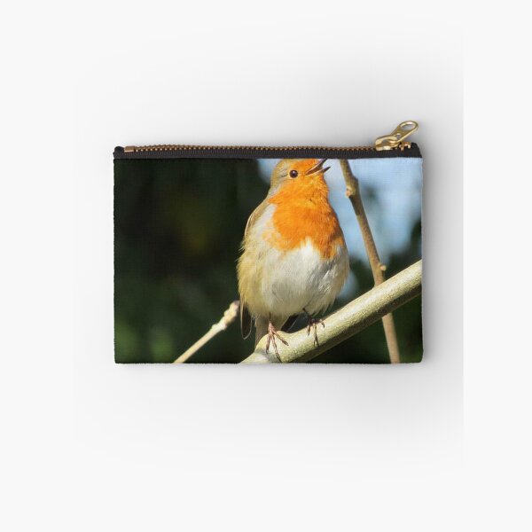 Item preview, Singing Robin designed and sold by WildandDivine.