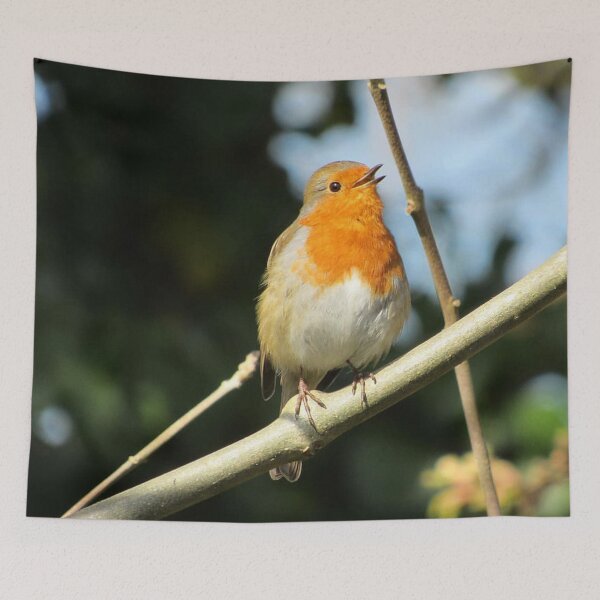 Item preview, Singing Robin designed and sold by WildandDivine.