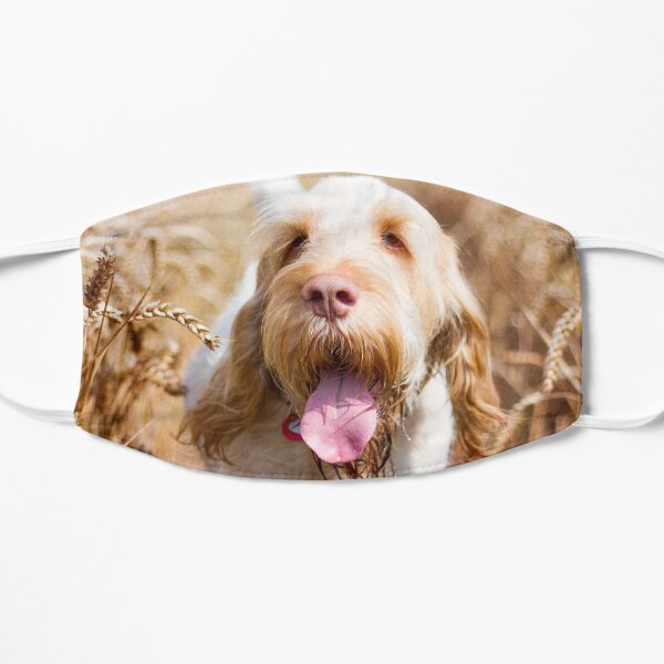 Hot dog summer Spinone Flat Mask