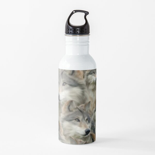Water Bottle
