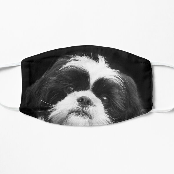 shih tzu dog face mask