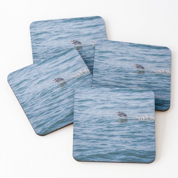 Item preview, Cute Puffin takes off from the water designed and sold by Svetlana Korneliuk.