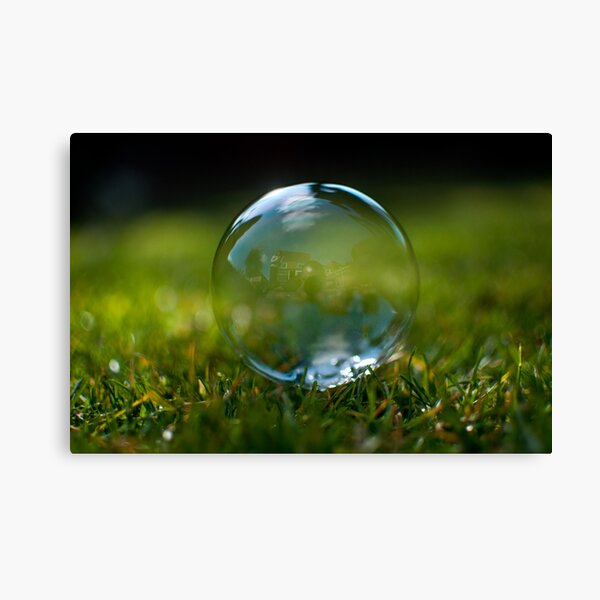 Living in a Bubble. Canvas Print