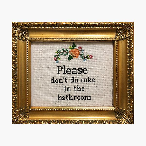 Don't Do Cocaine in the Bathroom Cross Stitch Beginner Kit