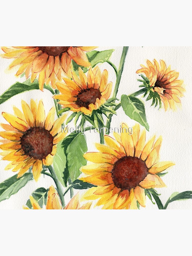 Sunflowers by MellyTerp