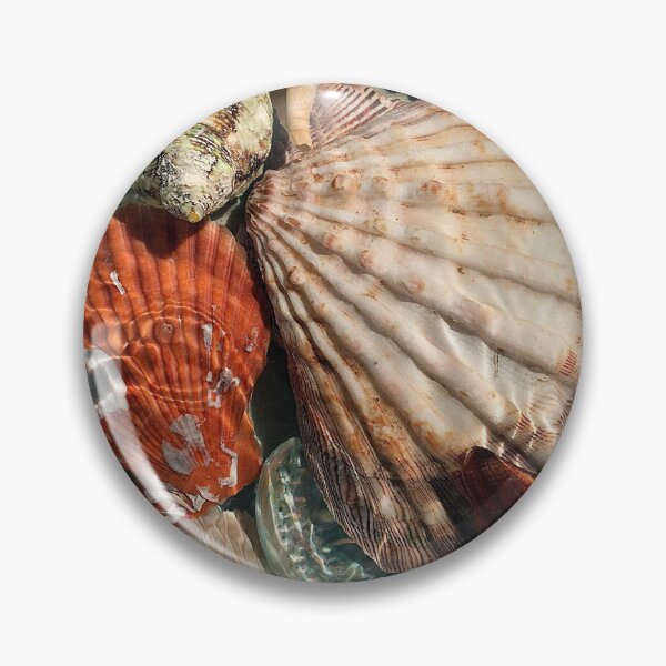 Item preview, Seashells designed and sold by Frankie Cat Photography.