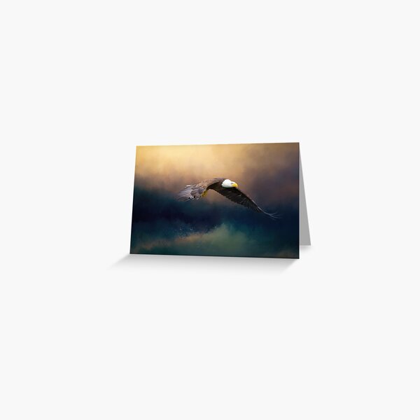 Painting flying american bald eagle Greeting Card