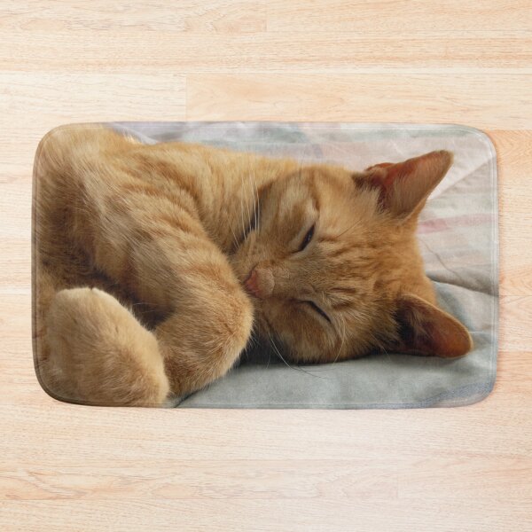 Item preview, Ginger Cat Sleeping designed and sold by Frankie Cat Photography.