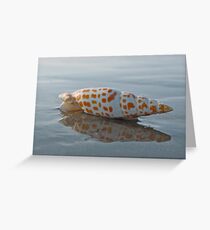 Seashell by the Seashore Greeting Card