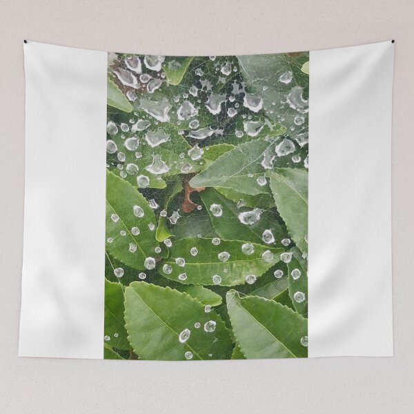 Item preview, Gotas de agua en telaraña designed and sold by Flog7.