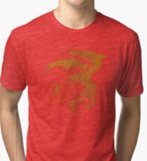 Dragonfight-cooltexture Tri-blend T-Shirt