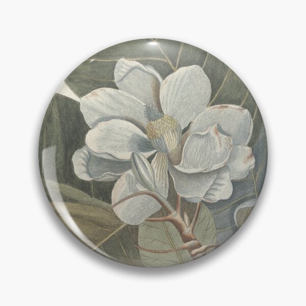 Item preview, Magnolia and Velvet Ant Vintage Botanical Print by Mark Catesby, 1777 designed and sold by Vintage Wall Art.