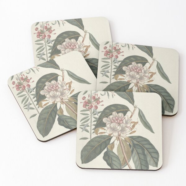 Item preview, Sheep Laurel Vintage Botanical Print by Mark Catesby, 1777 designed and sold by Vintage Wall Art.