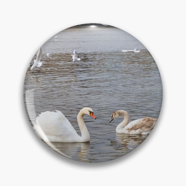 Item preview, Birds at Vltava river in Prague designed and sold by lena-maximova.