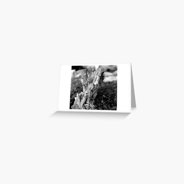 Greeting Card