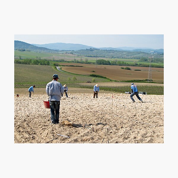 Item preview, men planting vines designed and sold by Anne Scantlebury.