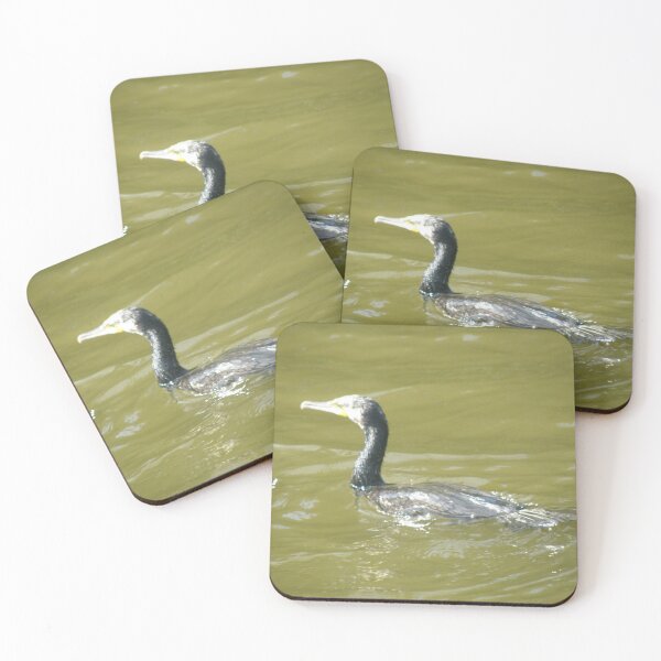 Item preview, Cormorant Swimming on a Sunny Day Photograph designed and sold by naturegallery.