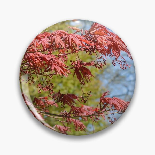 Item preview, Japanese maple at natural background designed and sold by lena-maximova.