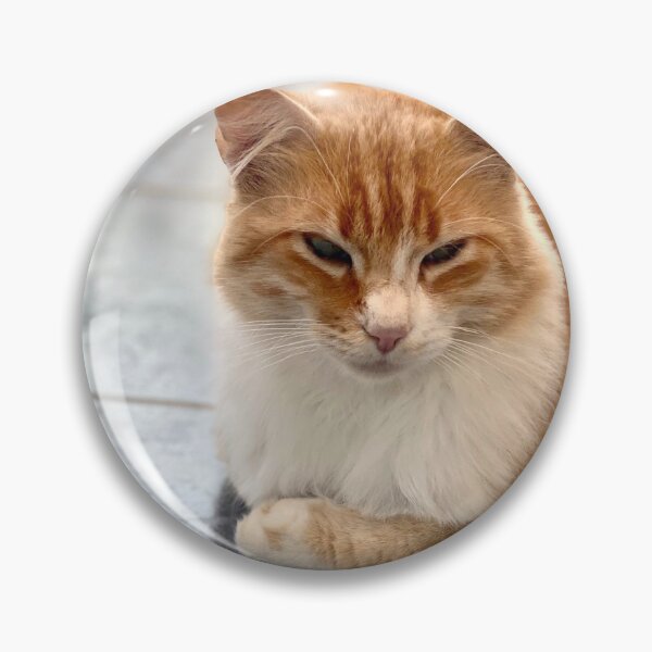 Item preview, Young reverent red-haired cat designed and sold by AHELENE.