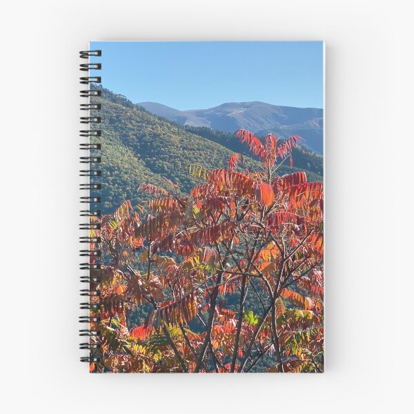 Item preview, Autumn colors: Lapege - Ariege - France designed and sold by AHELENE.