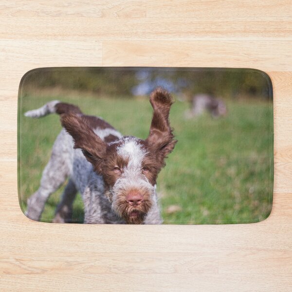 Item preview, Brown Roan Italian Spinone Puppy Dog In Action by heidiannemorris © designed and sold by FOLK ART FUSION by heidiannemorris.