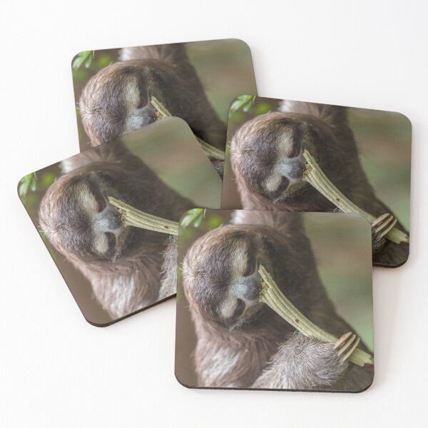 Item preview, Three-toed sloth designed and sold by Luis Sandoval.