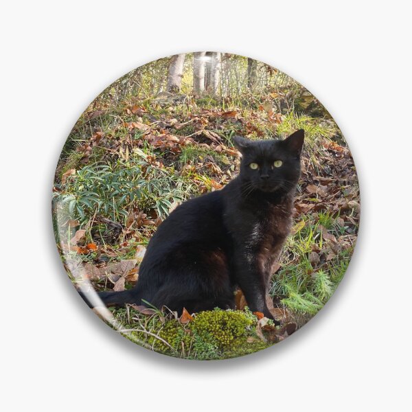 Item preview, Crockett in the wild designed and sold by AHELENE.