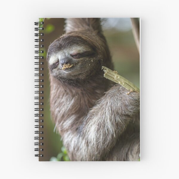 Item preview, Three-toed sloth designed and sold by Luis Sandoval.
