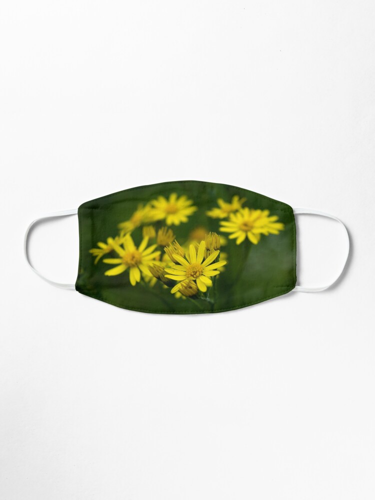 Download Yellow Daisy Flowers On Dark Background Mask By Lena Maximova Redbubble PSD Mockup Templates