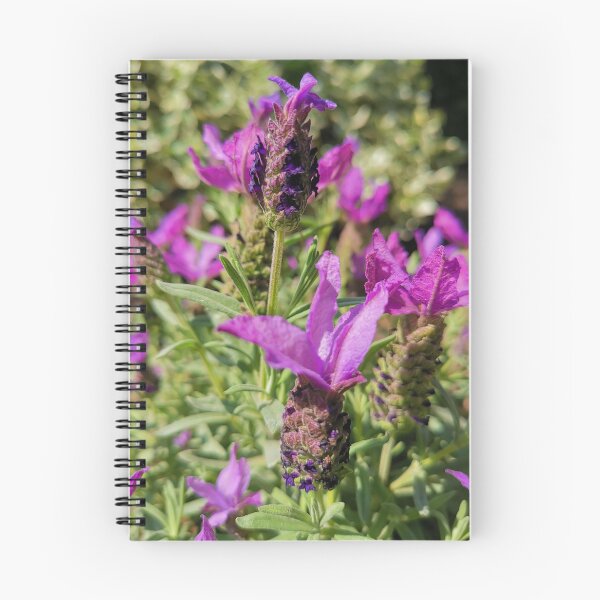 Item preview, Blooming lavender gift designed and sold by Sandra78.