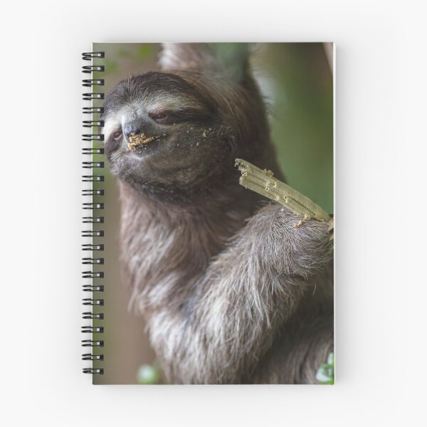 Item preview, Three-toed sloth designed and sold by Luis Sandoval.