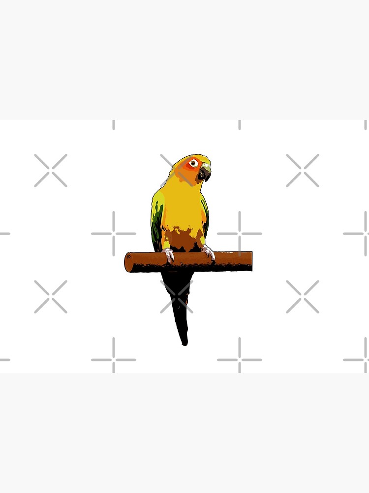 Sun Conure Vector by tribbledesign