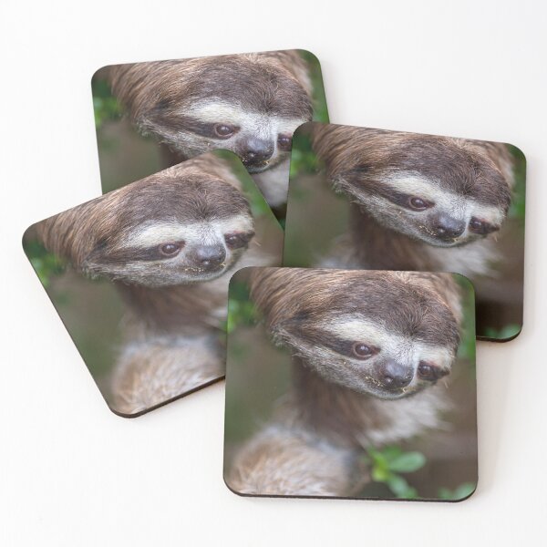 Item preview, Three-toed sloth designed and sold by Luis Sandoval.