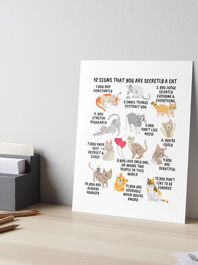 6 Signs That You Are Secretly a Cat Notebook Crazy Cat Lady 