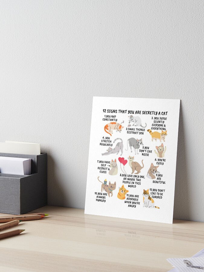 Cat Journal: The Ultimate Notebook for Cat Enthusiasts and Crazy Cat Ladies  Everywhere!