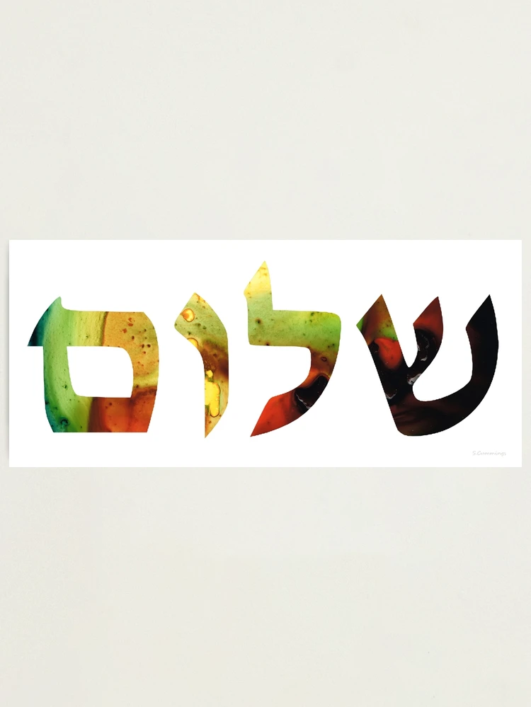 送料/関税込 ●SHALOM● Shalom Hair snaps Shalom Shalom