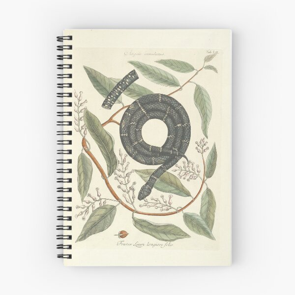 Item preview, Kingsnake Vintage Botanical Print by Mark Catesby, 1777 designed and sold by Vintage Wall Art.