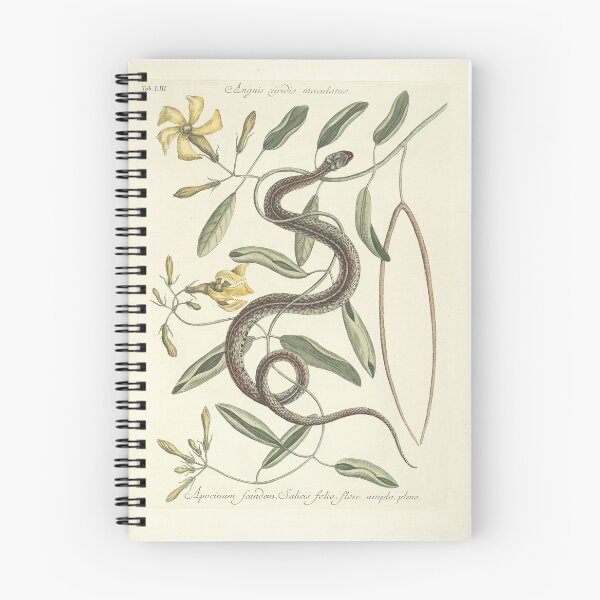 Item preview, Hammock Viper's-tail and Gartersnake Vintage Scientific Illustration, 18th Century designed and sold by Vintage Wall Art.