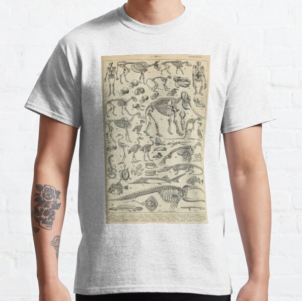 Skeletal Anatomy Classic T-Shirt