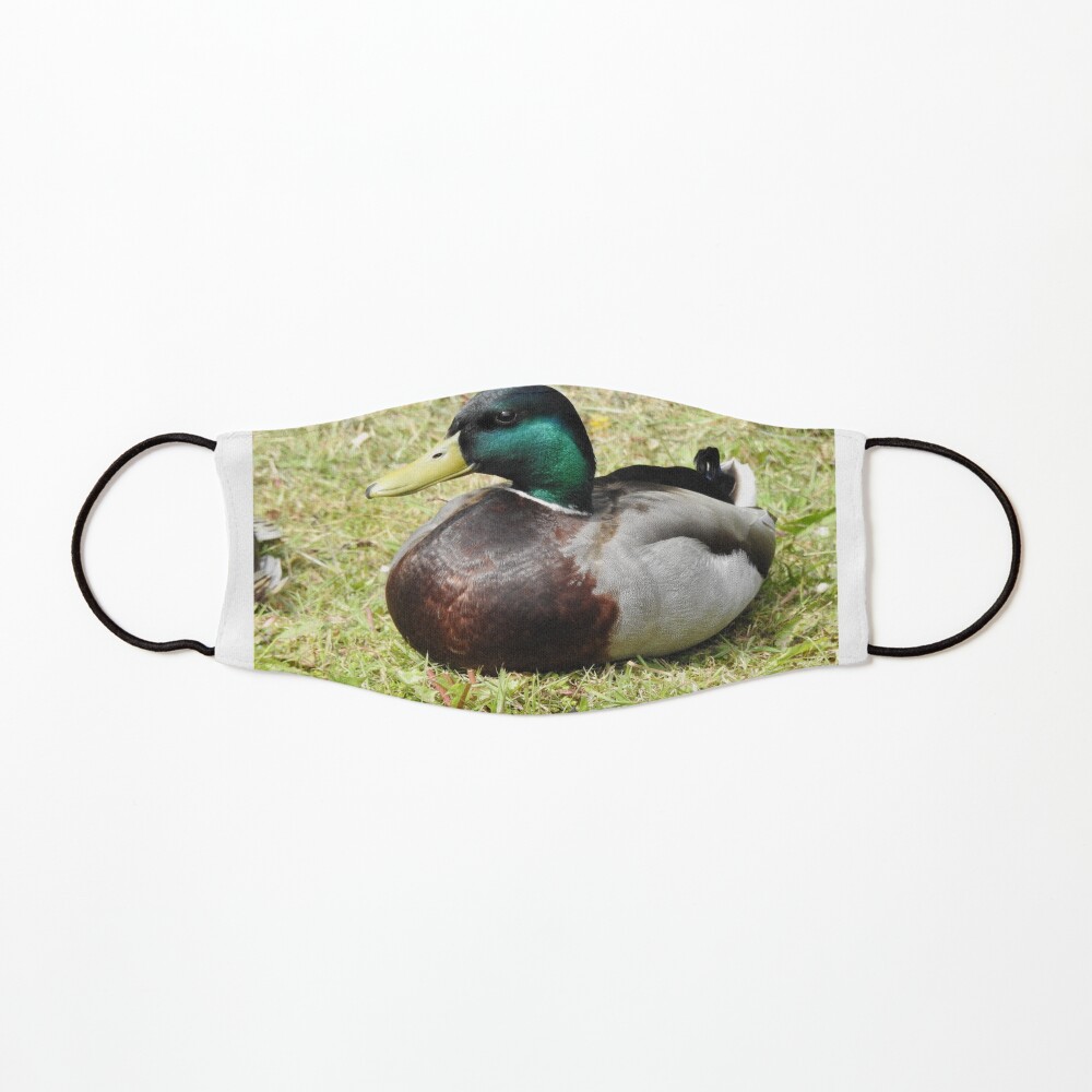 Mallard Duck Mask
