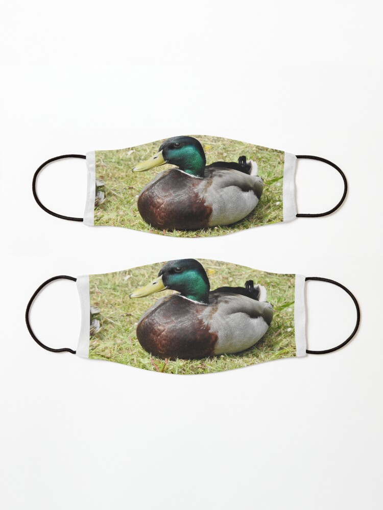 Alternate view of Mallard Duck Mask