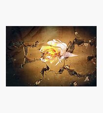 Damage Wallpaper Photographic Print