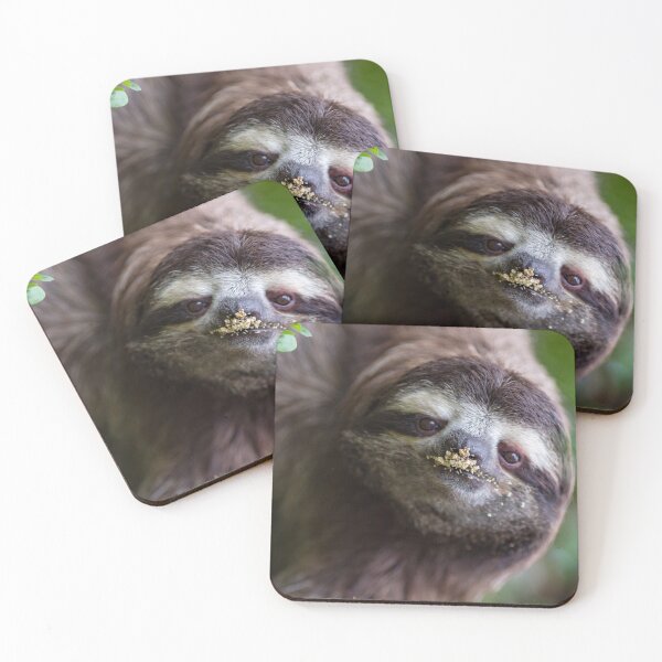 Item preview, three-toed sloth designed and sold by Luis Sandoval.