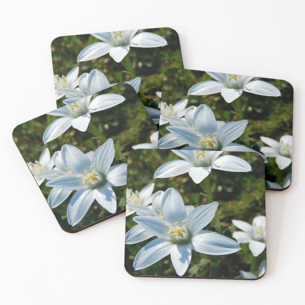Item preview, STAR OF BETHLEHEM FLOWERS IN THE FIELD designed and sold by Sandra  Aguirre.