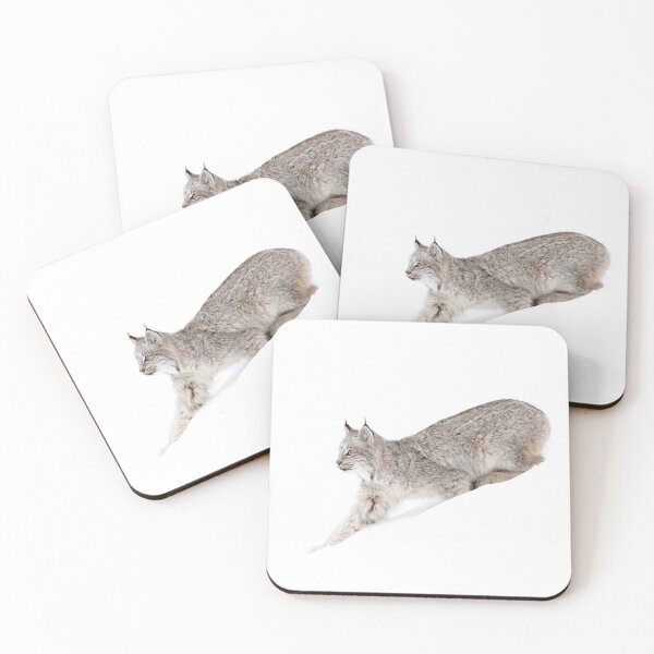 Item preview, Stealthy Lynx Kitten designed and sold by mlorenz.