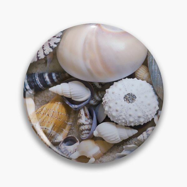 Item preview, Sea Shell Collection designed and sold by artsandsoul.