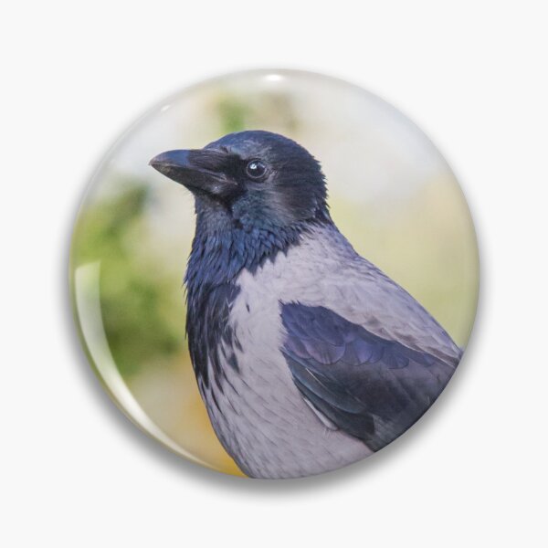 Item preview, Hooded Crow designed and sold by Dominika Aniola.
