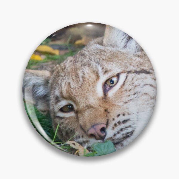 Item preview, Playful Lynx designed and sold by Dominika Aniola.