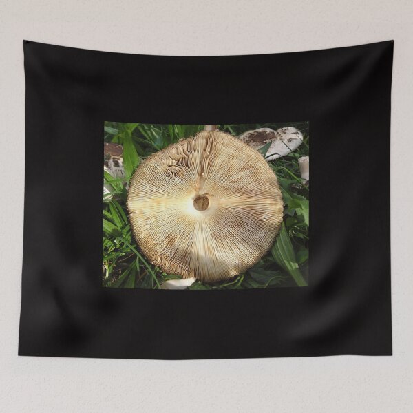 Item preview, The Gills designed and sold by XXX Zombieboy XXX.